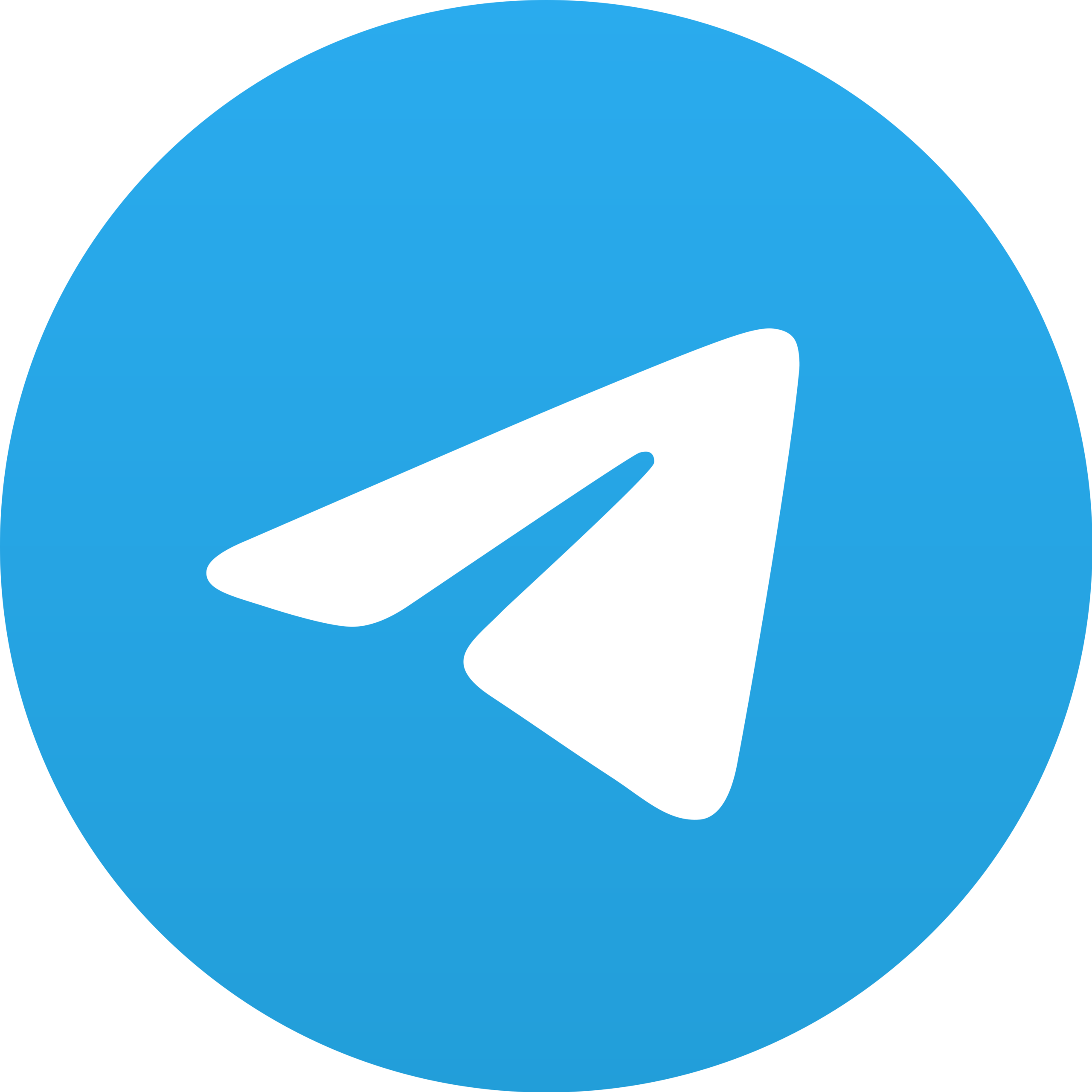 Telegram_2019_Logo.svg